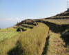 view of himalayas from the plot